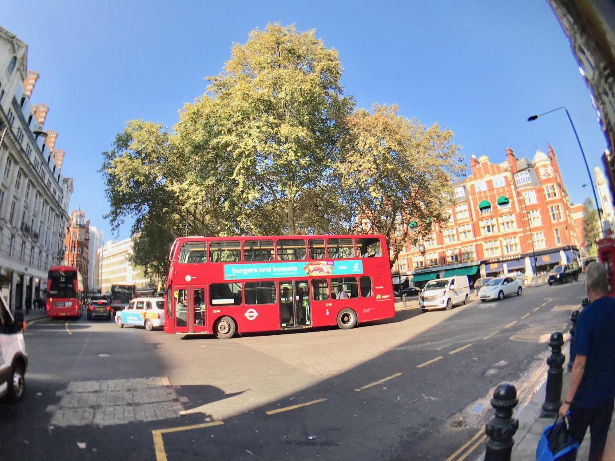 Alloggio in famiglia Victoria Belgravia Townhouse Londra